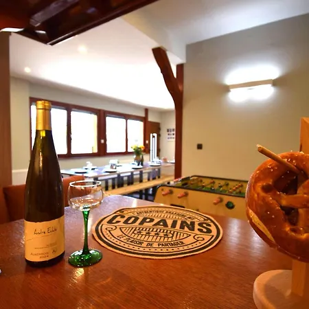 Le Courlis Du Ried Holiday home