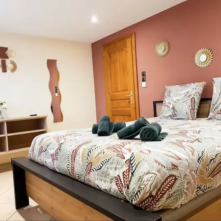 Le Courlis Du Ried Holiday home *